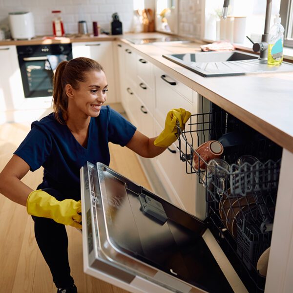Dishwasher Repair